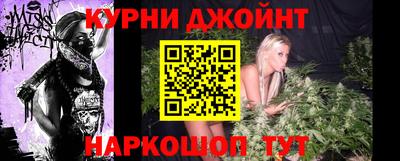 гашик Жуковский