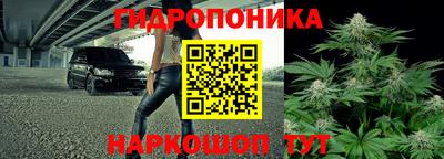 тгк Заволжье