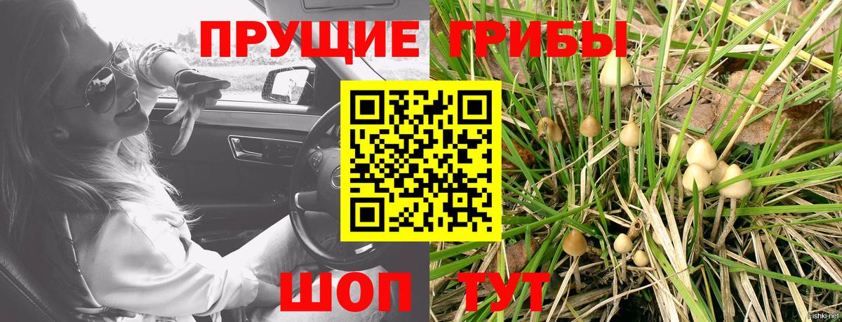 Галлюциногенные грибы Psilocybe  Псилоцибиновые грибы мухоморы  Магадан  Вход с VPN 