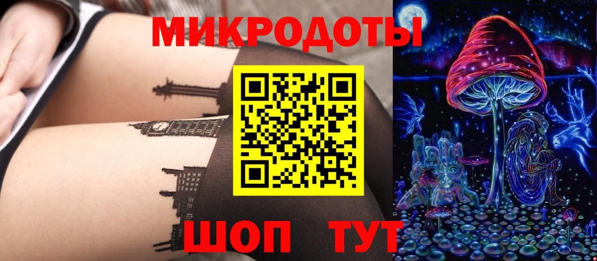 Псилоцибиновые грибы мухоморы Магадан